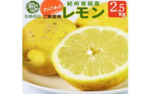 【ご家庭用訳あり】紀州有田産レモン　2.5kg【予約】※2026年3月上旬頃～2026年3月中旬頃に順次発送予定(お届け日指定不可) レモン れもん 果物 柑橘【uot777】