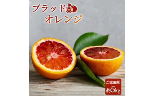 希少な柑橘!紀州有田産ブラッドオレンジ約5kg 【ご家庭用】※2027年3月上旬頃～3月下旬頃に順次発送 (お届け日指定不可) 【uot853A】