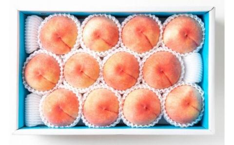 [先行予約]和歌山県産の美味しい桃 約4kg (10〜15玉入り)[2024年6月中旬頃から順次発送予定] 和歌山 もも モモ 桃 ギフト 贈り物 プレゼント 夏ギフト 果物 フルーツ 人気 産地直送[mat100A]