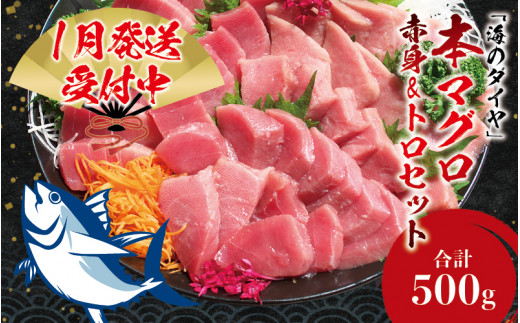 [期間限定 特別寄付額]本マグロ(養殖)トロ&赤身セット 500g [1月発送]高級 クロマグロ 中トロ 中とろ まぐろ マグロ 鮪 赤身 柵 じゃばらまぐろ 本マグロ 本鮪 水産事業者支援[nks110B_cp-1]