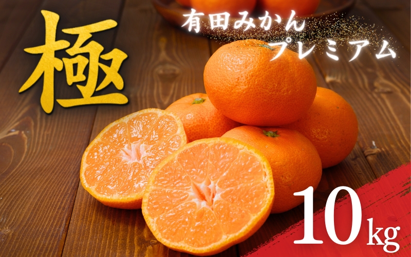 ＼光センサー選別/極 有田みかんプレミアム 10kg[糖度12度以上]2S〜Mの小玉サイズ 有機質肥料100% ※2024年11月下旬頃〜2024年12月下旬頃に順次発送予定 ※北海道・沖縄・離島への配送不可 / みかん みかん みかん みかん みかん みかん みかんみかん みかん みかん みかん みかん みかん みかん みかんみかん みかん みかん[nuk156]