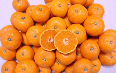 ＼ みかんの名産地 和歌山県産／ 農家直送 大玉 有田みかん 5kg （2L～3L） ひとつひとつ手選別で厳選【2025年11月下旬～1月中旬ごろに順次発送予定】 | みかん フルーツ 果物 くだもの 有田みかん 蜜柑 柑橘【hdm001-1A】