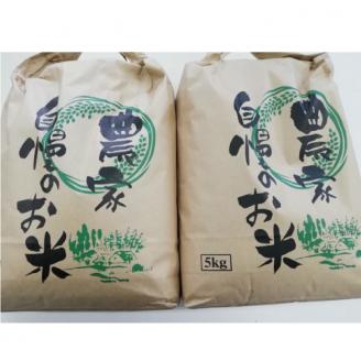 いくひかり（和歌山県日高郡産）10kg［2023年産］【hsc102】