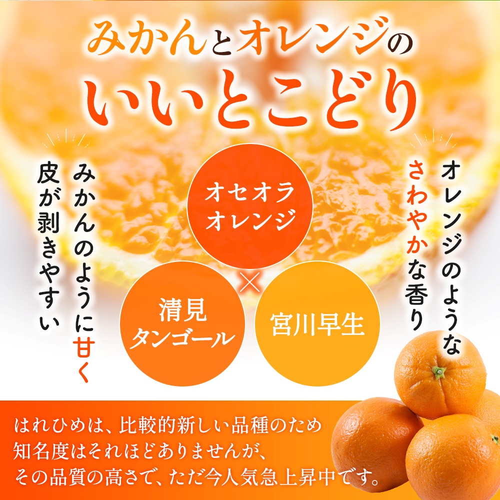 【先行予約】希少種みかん はれひめ 秀品 約5kg (25個～30個) ※2025年12月中旬～2026年2月初旬頃に順次発送予定（お届け日指定不可） | 和歌山 みかん ミカン はれひめ フルーツ 柑橘 蜜柑 果物 くだもの 旬 産地直送【kgr004A】