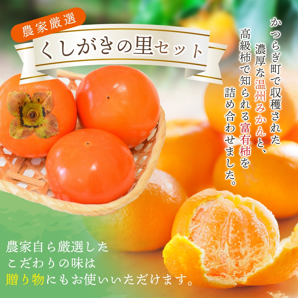 【先行予約】 道の駅くしがきの里セット 富有柿3個・温州みかん約30個の詰め合わせ こだわり農家厳選  【2025年11月中旬頃から2026年1月中旬頃順次発送】 | みかん 温州みかん 柿 富有柿 かき 詰め合わせ 果物詰め合わせ 果物 フルーツ おやつ【kgr022】