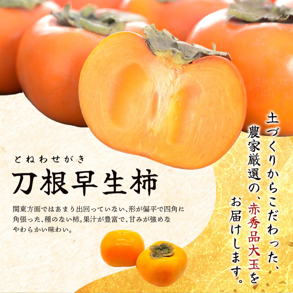 柿 種無し 赤秀品 超大玉 約1.8kg 5～6個 【先行予約】【2025年9月下旬から10月下旬頃発送】【kgr023】