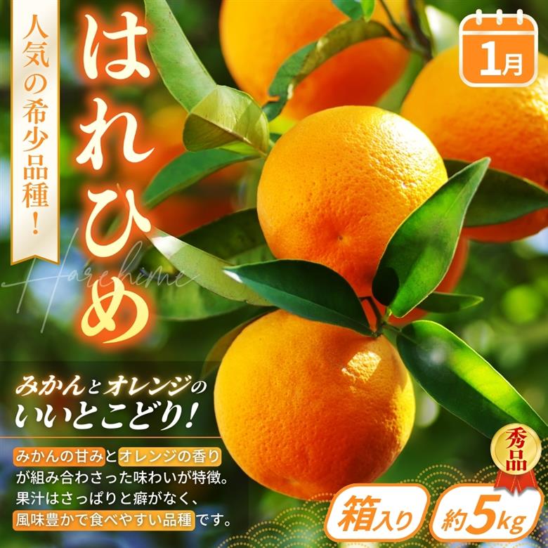 【定期便4回】フルーツ王国かつらぎ町よりお届け！旬のフルーツ定期便|【kgr025】