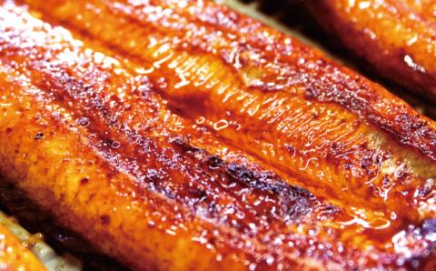 国産うなぎ 関西風蒲焼 大サイズ４枚(合計約600g)薬味付【北山グルメ市場】【miw103】