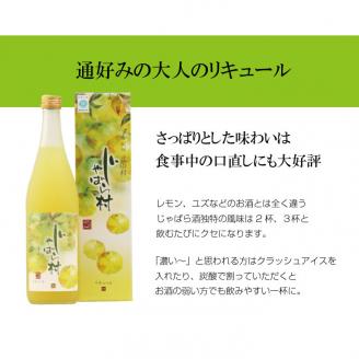 創業100年 日本城蔵元 吉村秀雄商店とコラボ★じゃばらのお酒 じゃばら村（芳醇タイプ）720ml×2本＜アルコール分8%＞【njb441】