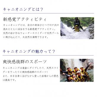 キャニオニング利用券　大人1名様（アイスマン）【nka103】