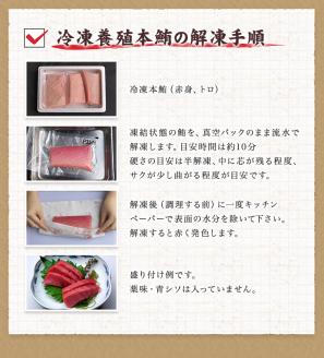 本マグロ（養殖）トロ＆赤身セット たっぷり！1350g【串本町×北山村】【2月発送】【nks111-2】