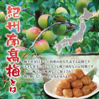 紀州南高梅 つぶれ梅 うす塩【ハチミツ入】塩分10%（500g）なかやまさんちの梅干 梅干し 梅干 梅 うめ ウメ【nky017-105k】