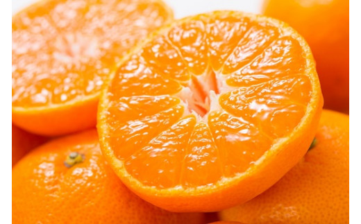 田村みかん 特選ギフト品 3kg サイズおまかせ 赤秀/紀州和歌山有田郡湯浅町田村地区産 ◆2025年11月下旬～2026年1月中旬頃に順次発送(お届け日指定不可)　紀伊国屋文左衛門本舗【ntb308B】