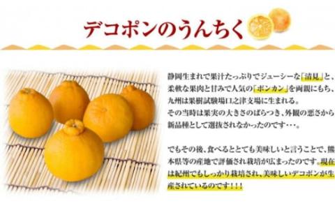 田村産「デコ」不知火[約3kg]湯浅町田村産春みかん(果実サイズおまかせ)/紀伊国屋文左衛門本舗　※2026年2月中旬～2026年3月下旬頃に順次発送予定(お届け日指定不可)【ntb493B】