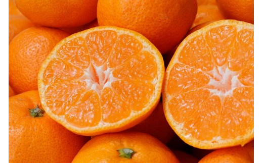 【2025年12月発送予約】 ご家庭用 こだわりの有田みかん 約4kg＋250g(傷み補償分) 光センサー選別 農家直送 / みかん ミカン 有田みかん 温州みかん 柑橘 フルーツ 果物 くだもの 旬 人気 みかん先行予約 家庭用 和歌山【nuk148-12A】