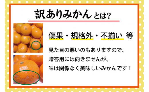 【訳あり】有田みかん 約5kg ご家庭用 サイズ混合 有機肥料100％ ※2025年11月中旬より順次発送予定（お届け日指定不可）※北海道・沖縄・離島への配送不可【nuk161E】