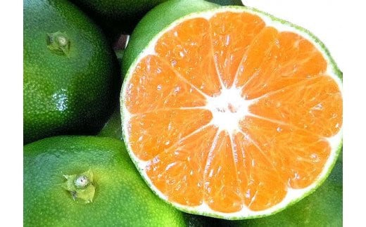 【2026年秋頃発送予約分】＼光センサー選別／ 【農家直送】こだわりの青切りみかん 約2kg  有機質肥料100%　 サイズ混合　※2026年9月下旬～10月より順次発送予定（お届け日指定不可）【nuk169B】