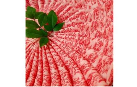 希少和牛 熊野牛ロース しゃぶしゃぶ用 約500g ＜冷蔵＞ しゃぶしゃぶ 牛肉【sim101A】