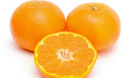 【厳選・濃厚】紀州有田産のはるみ約4kg(サイズおまかせ) ※2026年1月下旬～2026年2月中旬頃より順次発送【tec820B】