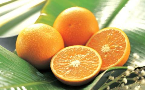 [厳選]有田産清見オレンジ約10kg（サイズおまかせ・秀品）【tec865】