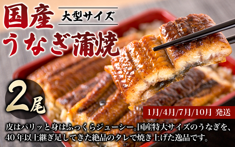 【全3回定期便】 国産うなぎ 高級和牛 本マグロ 〈人気返礼品を集めました！〉 / 鰻 ウナギ うなぎ蒲焼 うなぎの蒲焼 肉 お肉 牛肉 和牛 黒毛和牛 ブランド牛 しゃぶしゃぶ すき焼き マグロ まぐろ 本まぐろ 本マグロ 鮪 トロ 中とろ 柵 刺し身 海鮮 人気 おすすめ 定期便 うなぎ定期便 肉定期便 魚定期便 【tkb104】