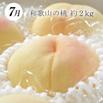 【3か月定期便】和歌山産フルーツ定期便！人気の桃・梨・ピオーネ　旬のフルーツを毎月お届け♪【tkb114】