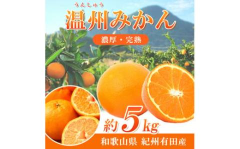 【先行予約】紀州有田産 濃厚完熟 温州みかん 5kg ※2026年11月下旬～2027年1月下旬頃に順次発送予定 / みかん ミカン 蜜柑 温州みかん 柑橘 フルーツ 果物 くだもの 和歌山【uot006】