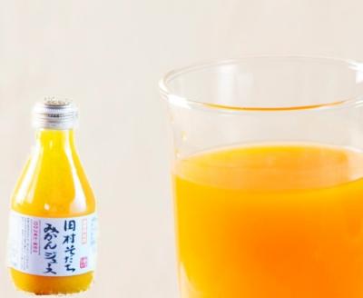 果汁100%　田村そだちみかんジュース　180ml×12本【uot212】
