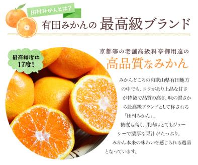 みかん 高級ブランド 田村みかん 5kg【予約】 ※2025年11月下旬頃～2026年1月下旬頃に順次発送予定 / みかん ミカン 有田みかん 温州みかん 田村みかん ブランドみかん フルーツ 果物 くだもの 柑橘【uot504A】