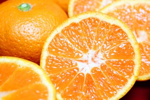 完熟有田みかん　10kg　※2024年11月下旬頃～2025年1月下旬頃に順次発送予定(お届け日指定不可)【uot705】