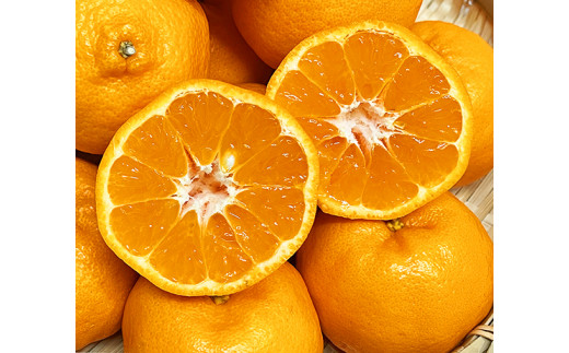 紀州和歌山有田産ポンカン　5kg	※2026年2月上旬頃～2026年2月下旬頃に順次発送（お届け日指定不可）【uot722】