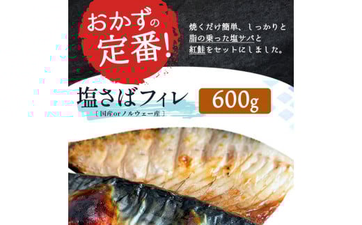 【ご家庭用訳あり】人気の塩さばフィレ＆紅鮭切身セット計1kg| 和歌山 魚 さば 鮭【uot796C】