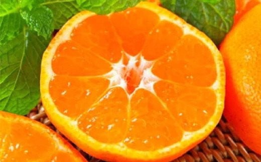 【11月発送】農園直送!完熟有田みかん 約10kg+200g【サイズ混合】 | 予約 和歌山 有田みかん みかん【ard004D-11】