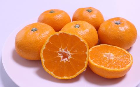 ＼ みかんの名産地 和歌山県産／ 農家直送 大玉 有田みかん 5kg （2L～3L） ひとつひとつ手選別で厳選【2025年11月下旬～1月中旬ごろに順次発送予定】 | みかん フルーツ 果物 くだもの 有田みかん 蜜柑 柑橘【hdm001-1A】