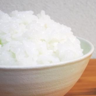 いくひかり（和歌山県日高郡産）10kg［2023年産］【hsc102】