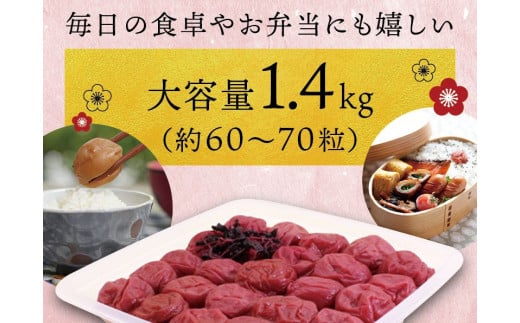 最高級 紀州南高梅 大粒 しそ風味梅干し 1.4kg 【ご家庭用】 / 梅干 梅干し 梅 うめ しそ しそ梅 しそ梅干し 南高梅 家庭用【inm200B】