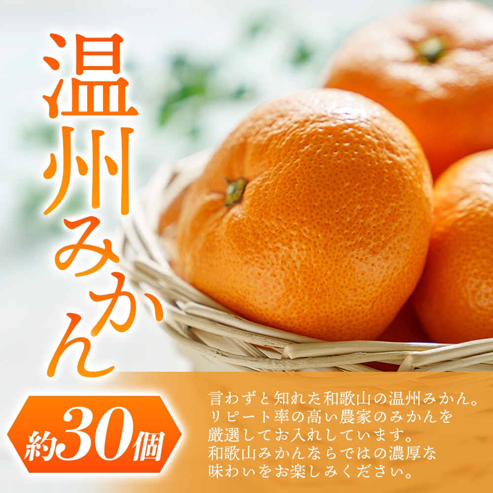 【先行予約】 道の駅くしがきの里セット 富有柿3個・温州みかん約30個の詰め合わせ こだわり農家厳選  【2025年11月中旬頃から2026年1月中旬頃順次発送】 | みかん 温州みかん 柿 富有柿 かき 詰め合わせ 果物詰め合わせ 果物 フルーツ おやつ【kgr022】