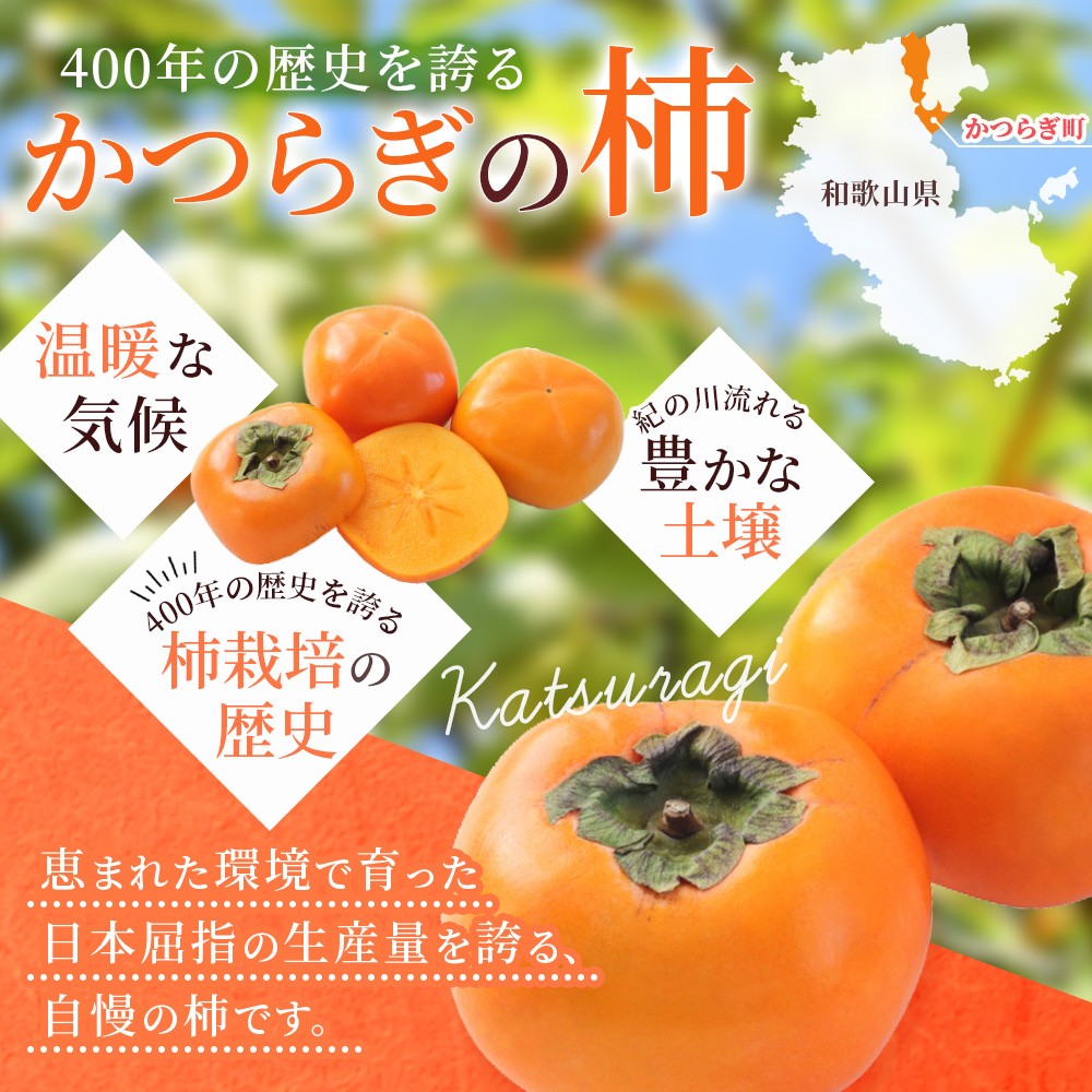 柿 種無し 赤秀品 超大玉 約1.8kg 5～6個 【先行予約】【2025年9月下旬から10月下旬頃発送】【kgr023】