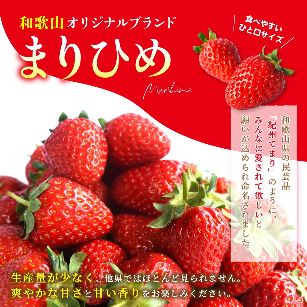 【先行予約】まりひめイチゴ4パック 食べやすいひと口サイズ M～L（15粒～20粒入×4パック）【2026年1月初旬～3月下旬頃に順次発送】（お届け日指定不可） | いちご 苺 まりひめ 和歌山 フルーツ 果物 くだもの【kgr034】