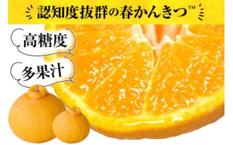 田村産「デコ」不知火[約3kg]湯浅町田村産春みかん(果実サイズおまかせ)/紀伊国屋文左衛門本舗　※2026年2月中旬～2026年3月下旬頃に順次発送予定(お届け日指定不可)【ntb493B】