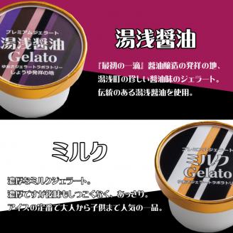 プレミアムジェラート 詰め合わせセット（6種類×2個） アイスクリームセット 100mlカップ ゆあさジェラートラボラトリー【ntb701】