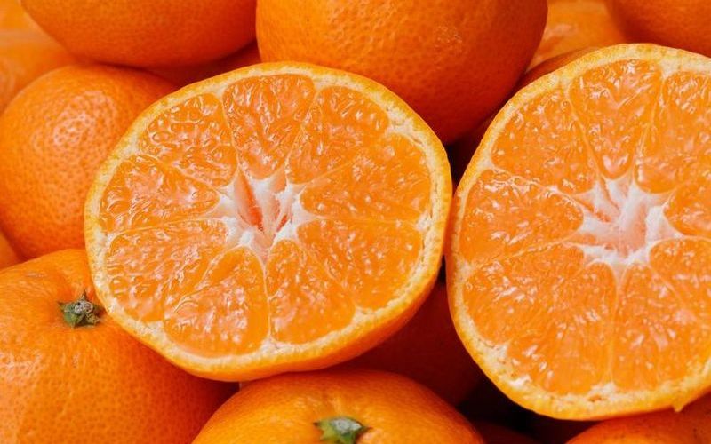 【訳あり】有田みかん 約5kg ご家庭用 サイズ混合 有機肥料100％ ※2025年11月中旬より順次発送予定（お届け日指定不可）※北海道・沖縄・離島への配送不可【nuk161E】