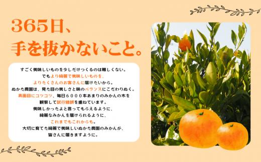 ＼光センサー選別／ 【先行予約】＼数量限定／ 希少品種 ご家庭用 ゆら早生みかん 約4kg サイズ混合【2026年10月上旬～11月頃より順次発送】【nuk162B】