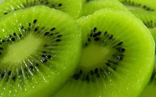 和歌山の下津で採れたキウイフルーツ約3.6kg（玉数おまかせ・秀品）※2026年1月中旬～2026年3月上旬頃に発送【tec502B】