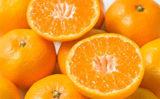 【食べごたえ十分】有田みかん大玉約9kg（3Lサイズ・秀品）　※2025年11月中旬～2026年1月中旬頃順次発送予定（お届け日指定不可）【tec879A】