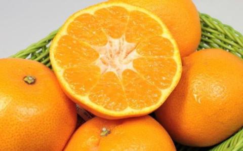 【厳選・濃厚】紀州有田産のはるみ約5kg(Lサイズ) ※2026年1月下旬～2026年2月中旬頃に順次発送（お届け日指定不可）【tec914B】