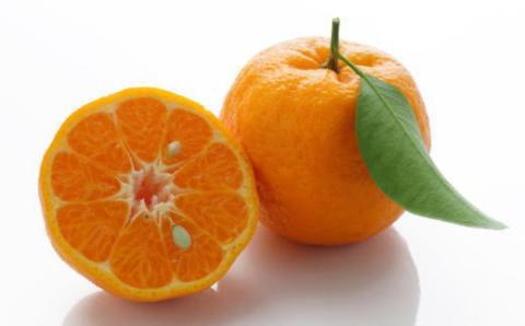 [濃厚・春みかん]有田産ポンカン約5kg(サイズおまかせ) ※2024年2月上旬～下旬頃発送予定（お届け日指定不可）【tec932】