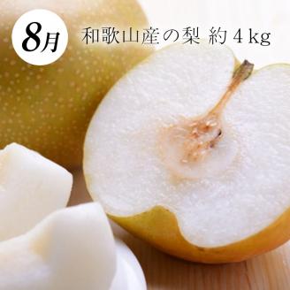 【3か月定期便】和歌山産フルーツ定期便！人気の桃・梨・ピオーネ　旬のフルーツを毎月お届け♪【tkb114】