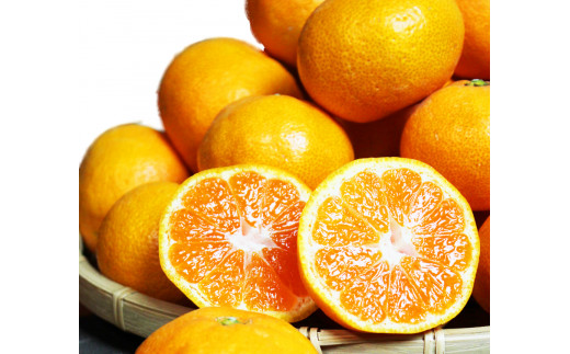 【ご家庭用訳アリ】紀州有田産濃厚完熟温州みかん　7.5kg　※2024年11月下旬頃～2025年1月下旬頃に順次発送予定(お届け日指定不可)【uot704A】