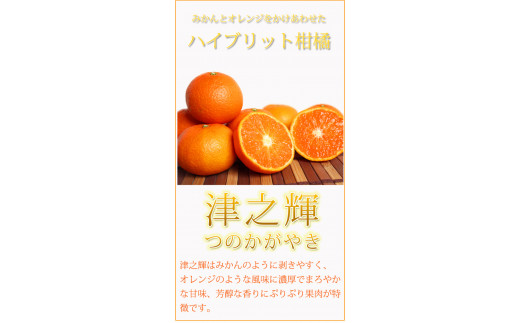 津之輝(つのかがやき)　5kg【予約】※2026年2月上旬頃～2026年2月下旬頃に順次発送予定(お届け日指定不可) 【uot761】